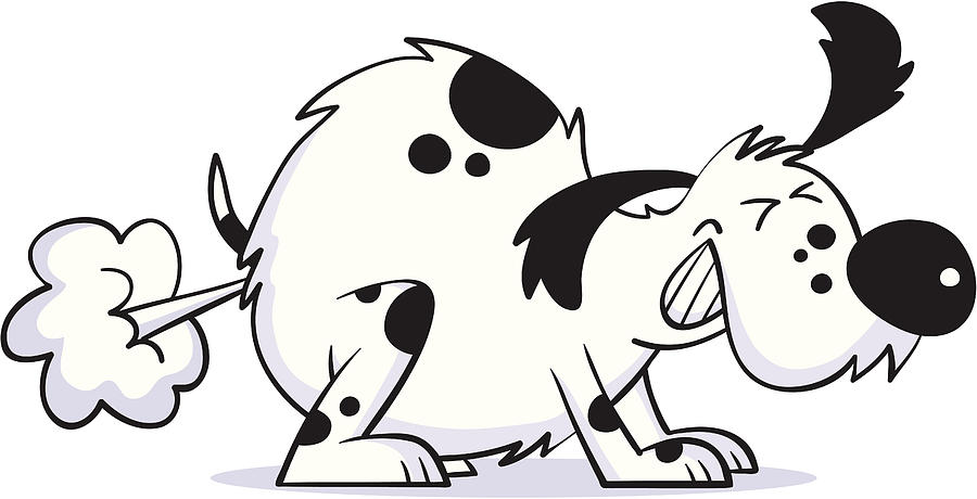Smelly dog Drawing by Smokeyjo