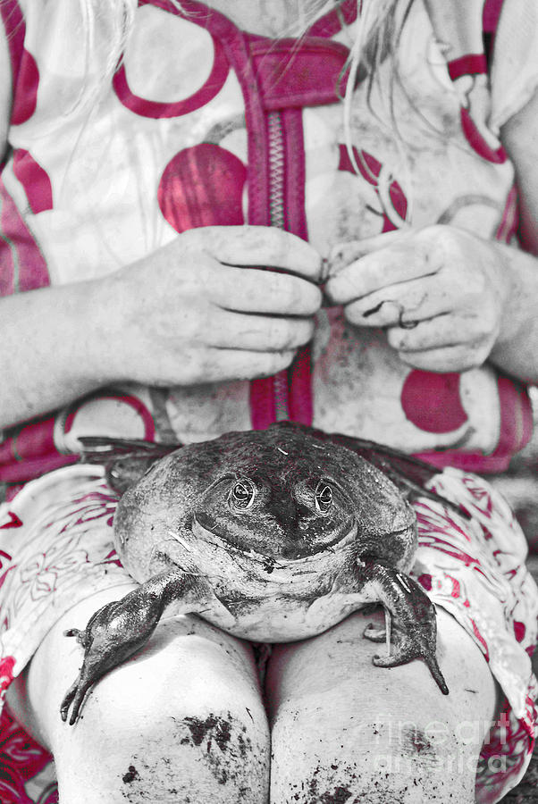 Frog Photograph - Smile by Aimelle Ml
