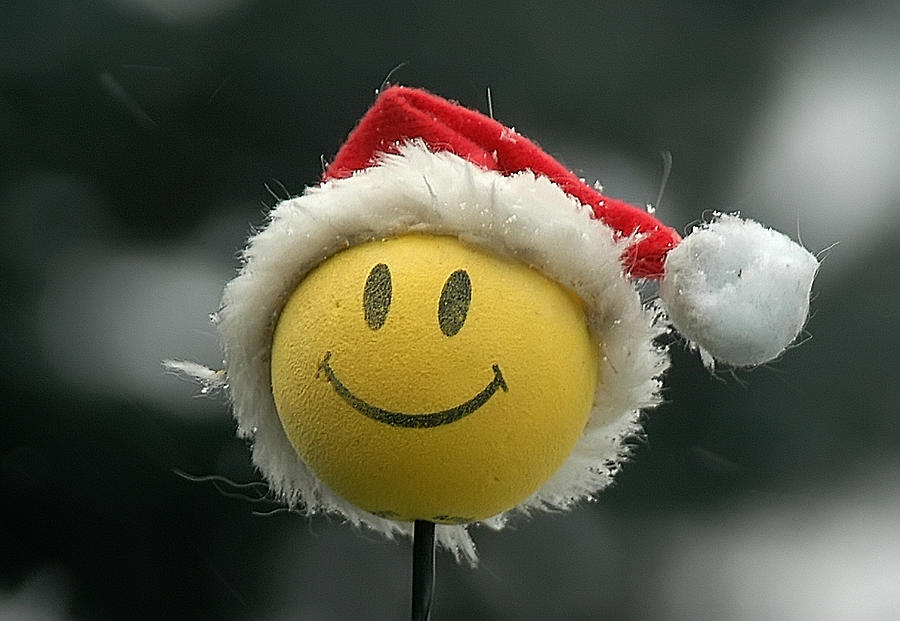 Smile-Christmas is Coming Photograph by Geraldine Alexander