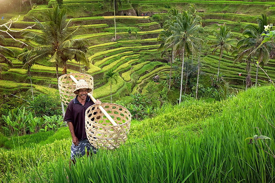 Smile On The Green Grass Photograph By Agoes Antara - Fine Art America