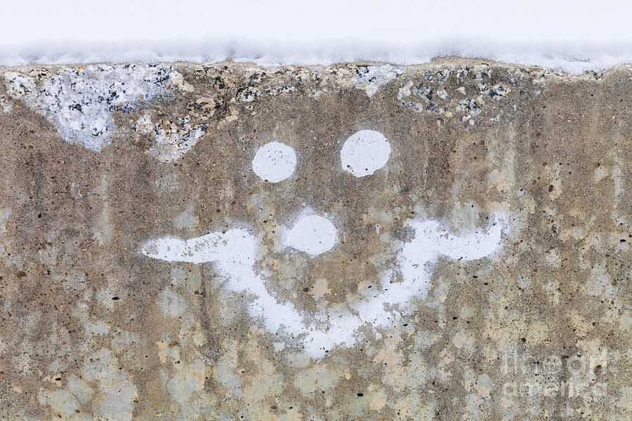 Smiley Face Photograph by Diane Macdonald