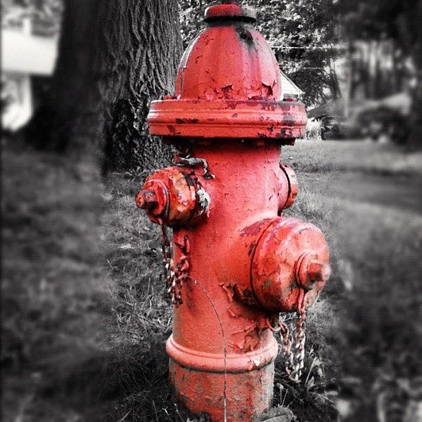 Smiley Face Water Hydrant Photograph by Kallen Simpson
