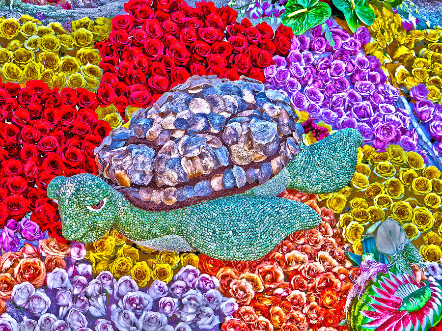 Smiley Turtle Photograph by Richard J Cassato