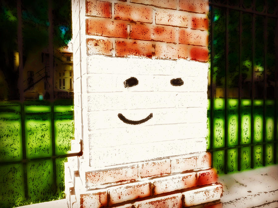 Smiley Wall Photograph by Zinvolle Art