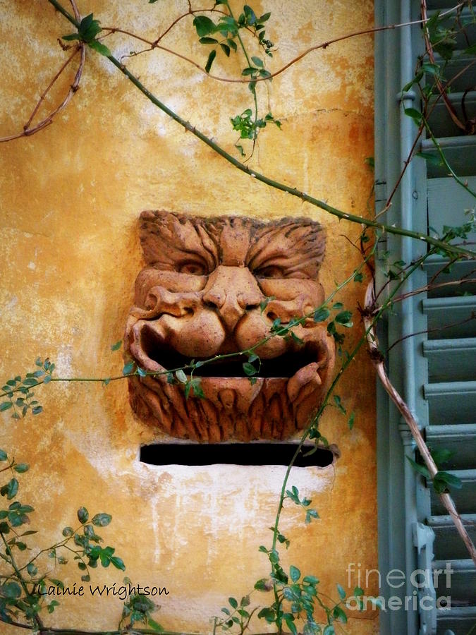 Smiling Cat Mail Box Photograph by Lainie Wrightson