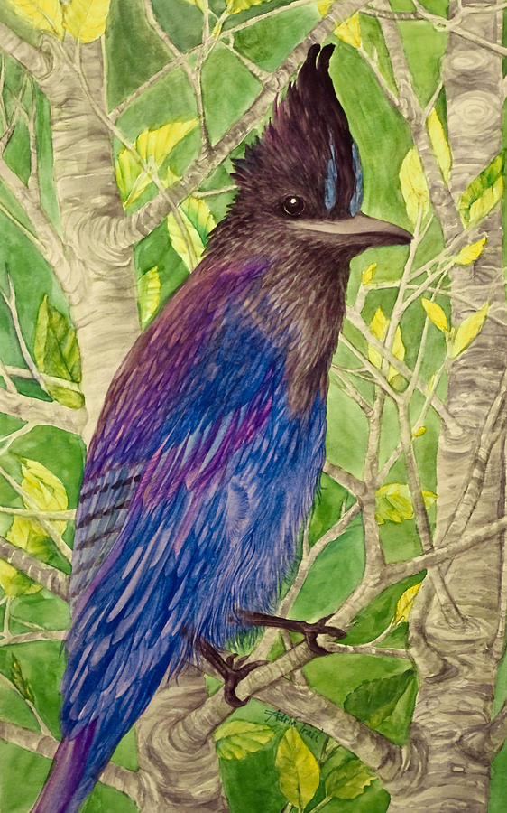 Smiling Jay Painting by Adria Trail