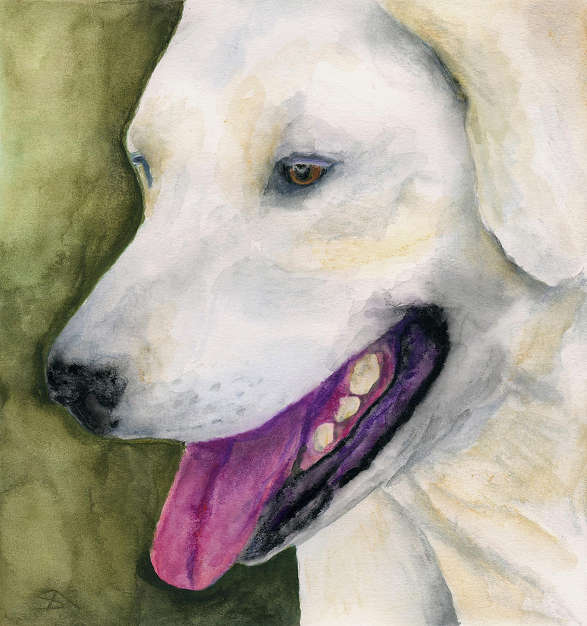 Animal Painting - Smiling Lab by Stephen Anderson