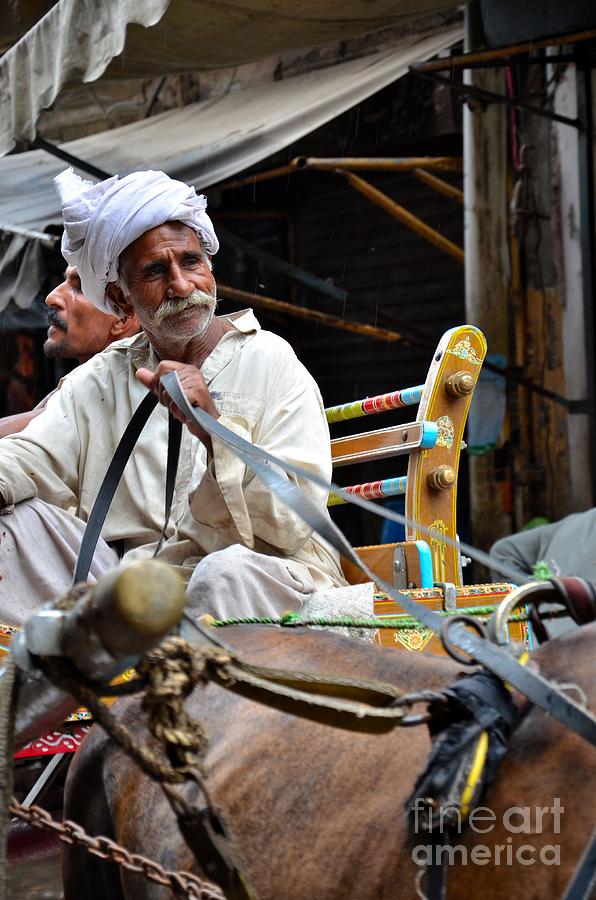 Smiling man drives horse carriage in Lahore Pakistan Photograph by Imran Ahmed