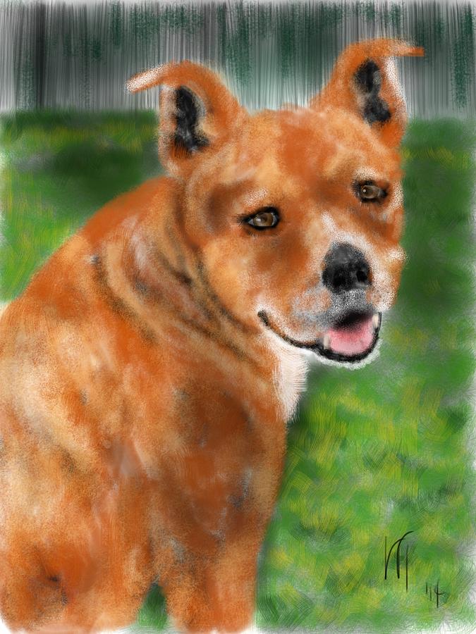 Smiling Red Dog Painting by Lois Ivancin Tavaf