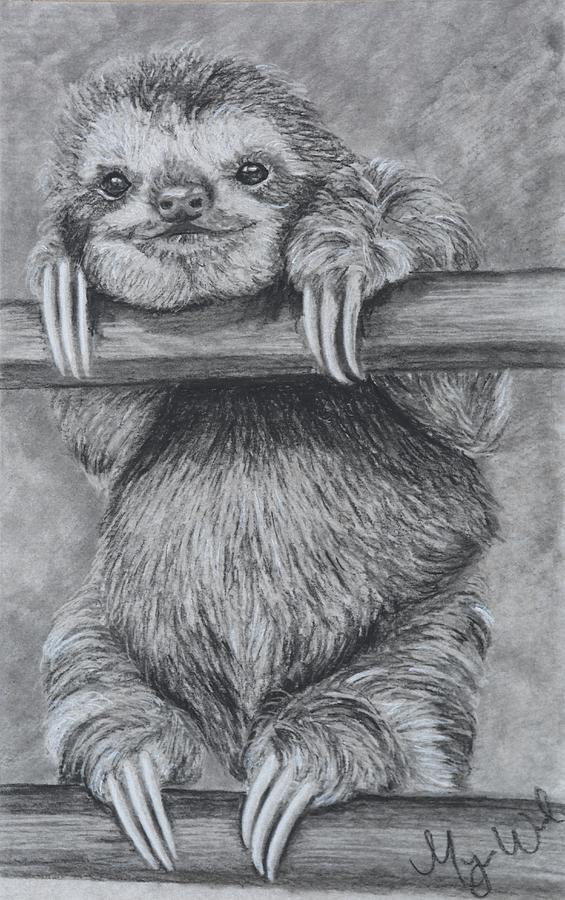 Smiling Sloth Drawing By Megan Wood Fine Art America