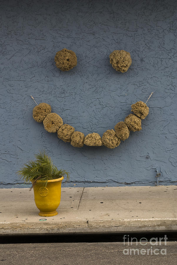 Smiling Sponges Photograph by John Greco