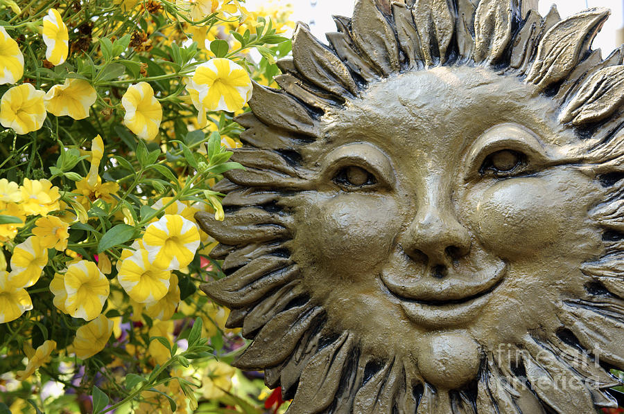 Smiling Sunflower Face Photograph by John  Mitchell