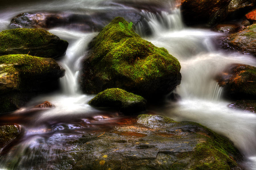 Waterfall Photograph - Smith Creek Moss and Fern by Greg and Chrystal Mimbs