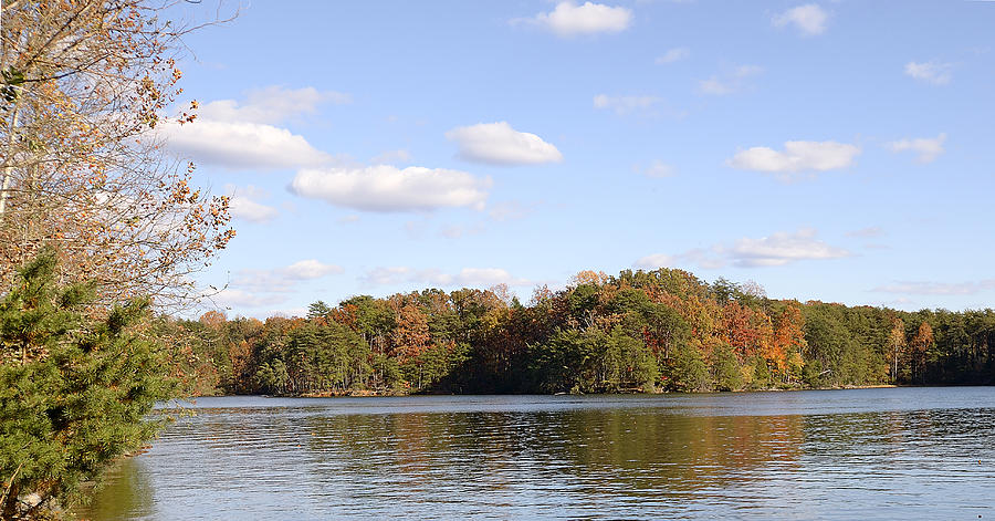 Fall Photograph - Smith Mountain Lake State Park   Fall by Brendan Reals