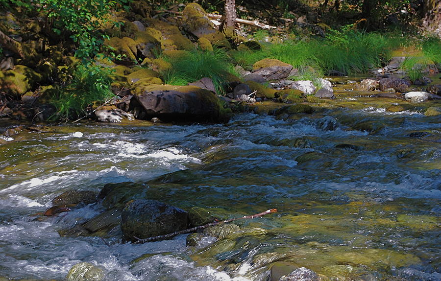 Smith River Painting by Richard Hinger