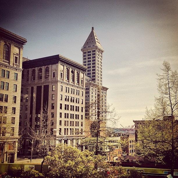 Seattle Photograph - Smith Tower #smithtower #seattle #trees by James Higuera