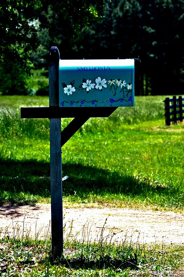 Smithonia Mailbox Photograph by Tara Potts