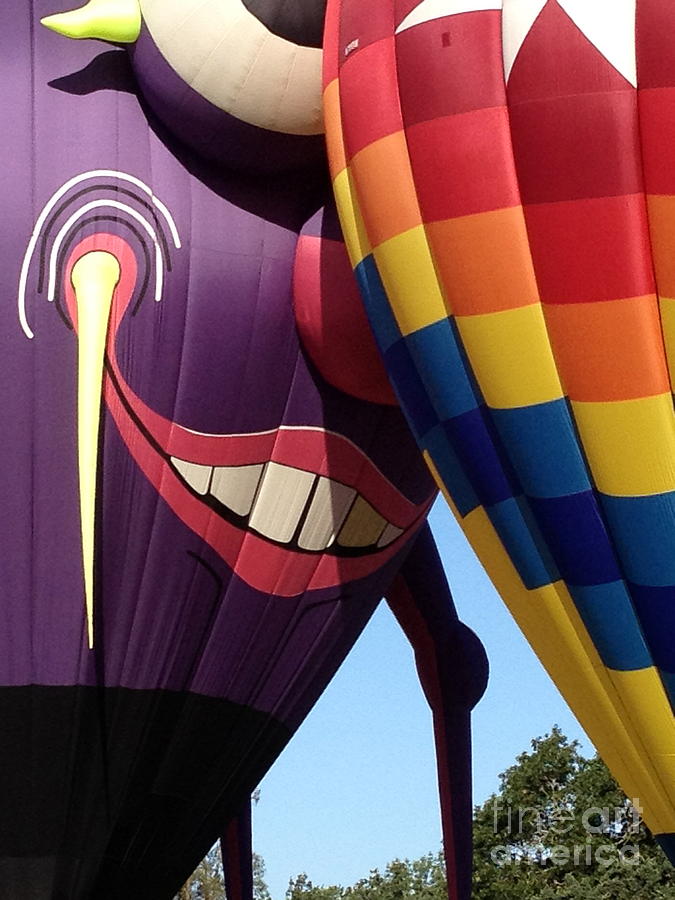 Smitten Hot Air Balloon Photograph by Jacklyn Duryea Fraizer