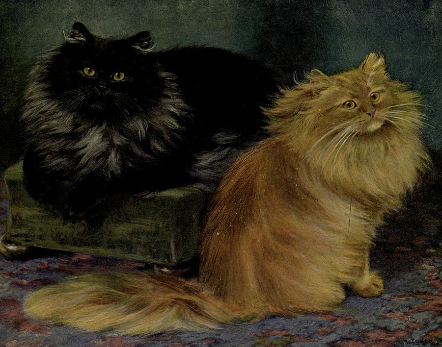 Cat Painting - Smoke and Orange Persians by Philip Ralley