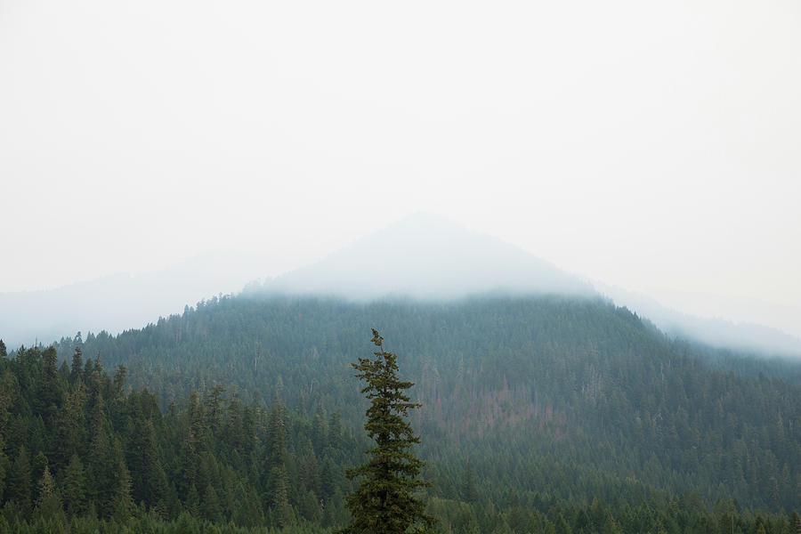 Summer Photograph - Smoke Covered Mountains by Joshua Rainey