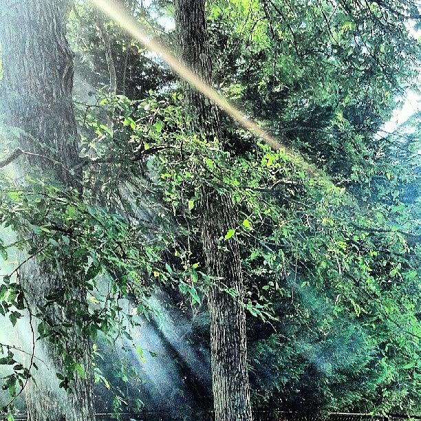 Rays Photograph - #smoke From The #campfire #plus #sun by Jesse  Halloran