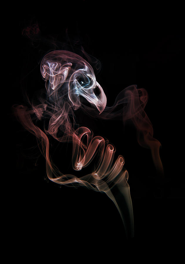 Abstract Photograph - Smoke skull by Jaroslaw Blaminsky