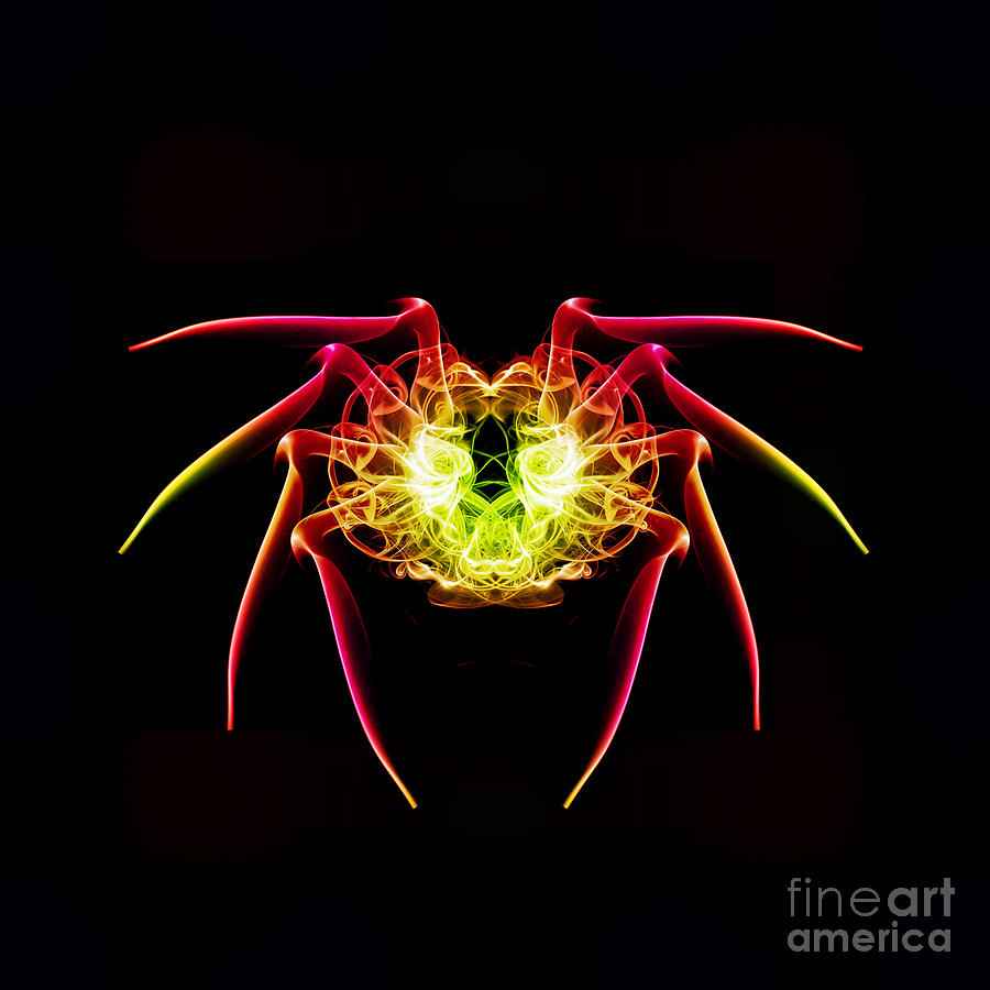 Pattern Photograph - Smoke Spider by Steve Purnell
