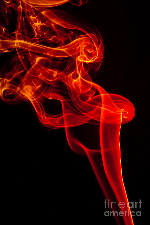 Smoked Photograph by Anthony Sacco