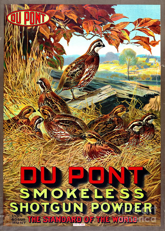 Smokeless Shotgun Powder Ad 1913 Photograph by Padre Art