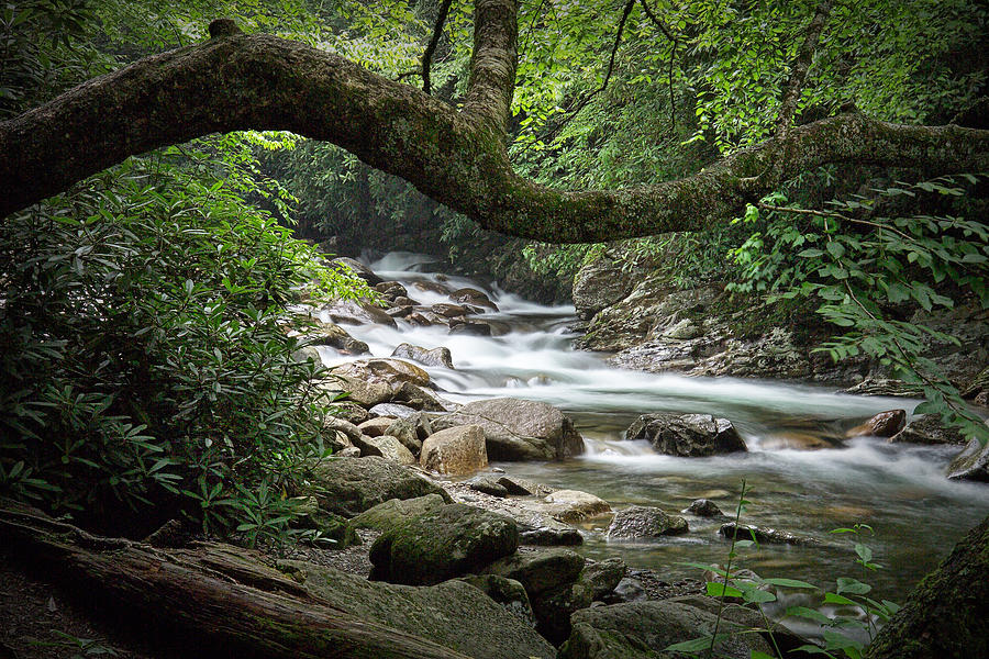 Smoky Mountain Stream. No 547 Photograph by Randall Nyhof