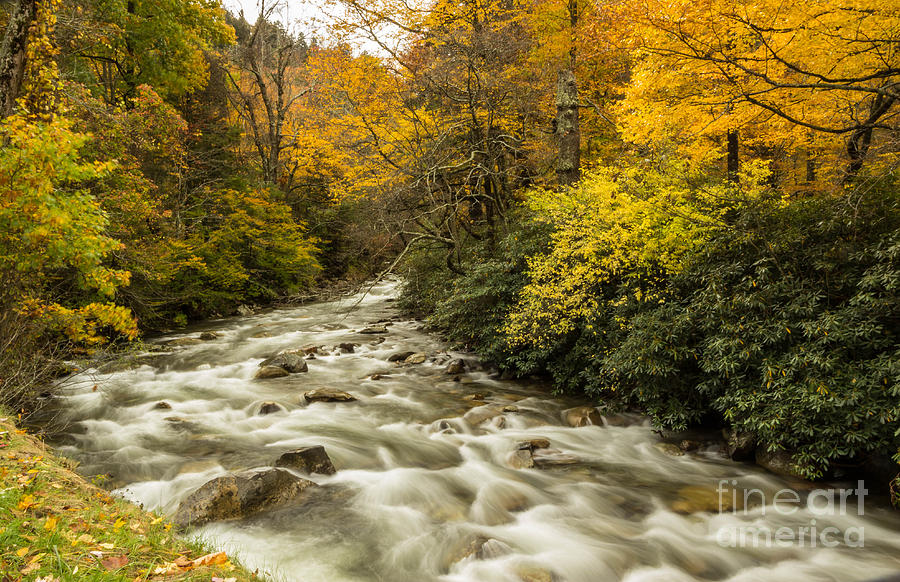 Smokey Mtn River in Fall Photograph by George Kenhan