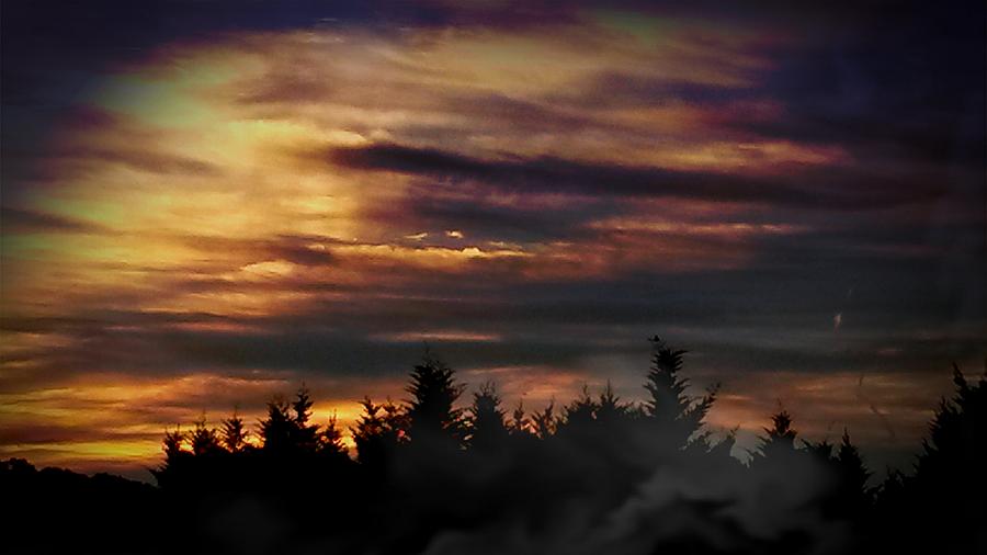 Sunset Photograph - Smokey Pines at Sunset by Maria Urso