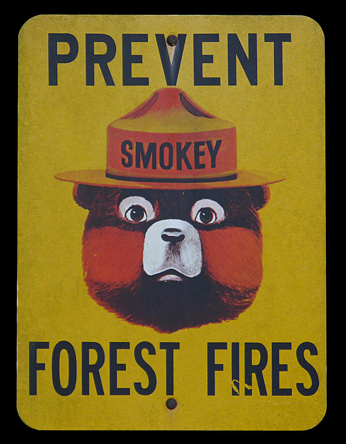 Smokey Says - Prevent Forest Fires Photograph by Richard Reeve