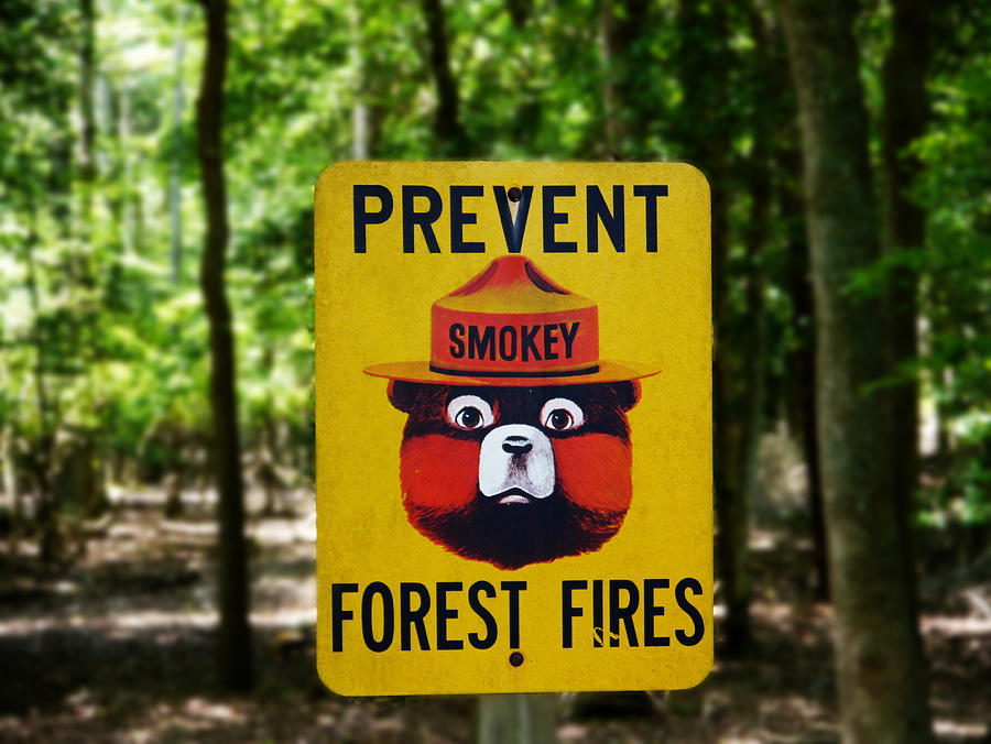 Smokey Says - Protect the Forest Photograph by Richard Reeve