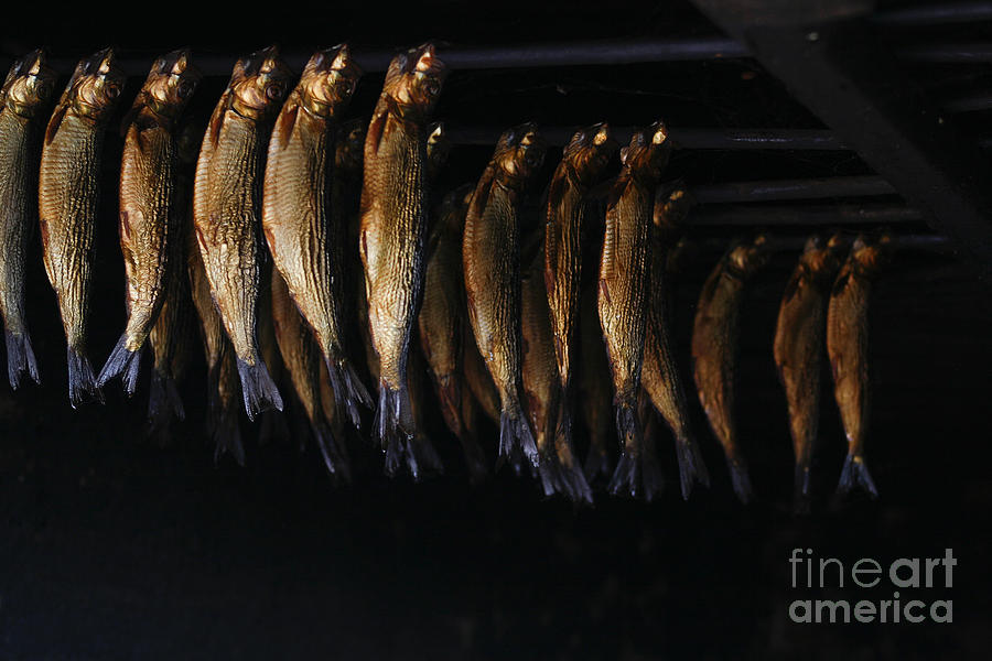 Smoking fish Photograph by Patricia Hofmeester
