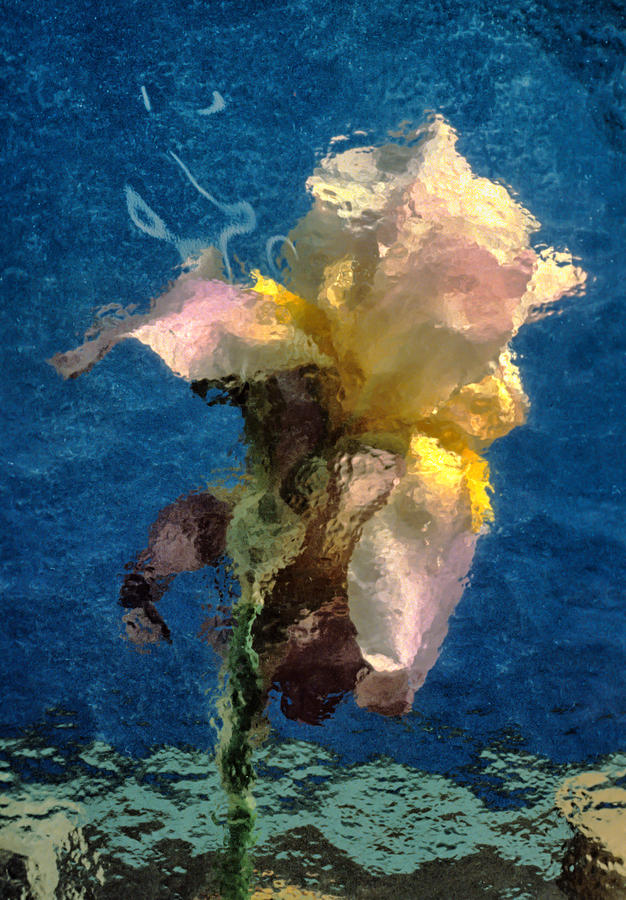 Iris Photograph - Smoking Iris by Gary Slawsky