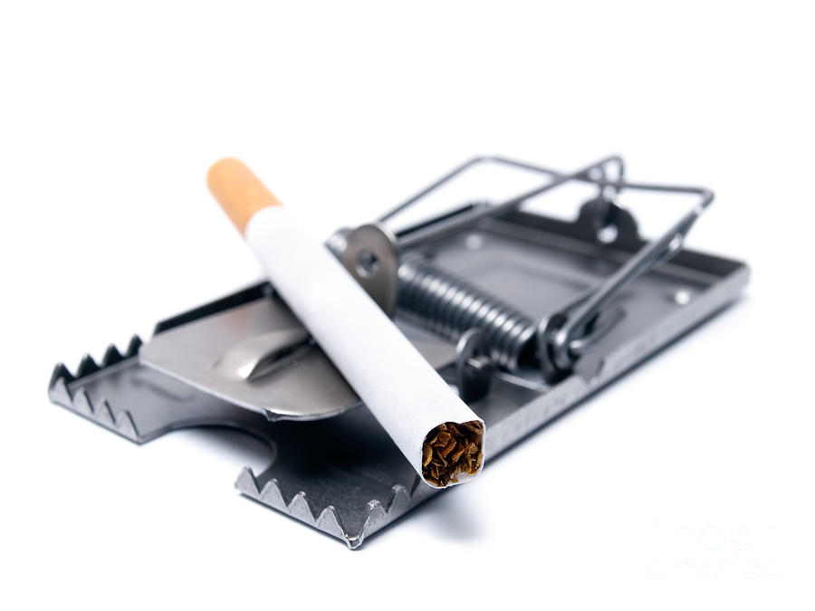 Tobacco Photograph - Smoking trap by Sinisa Botas