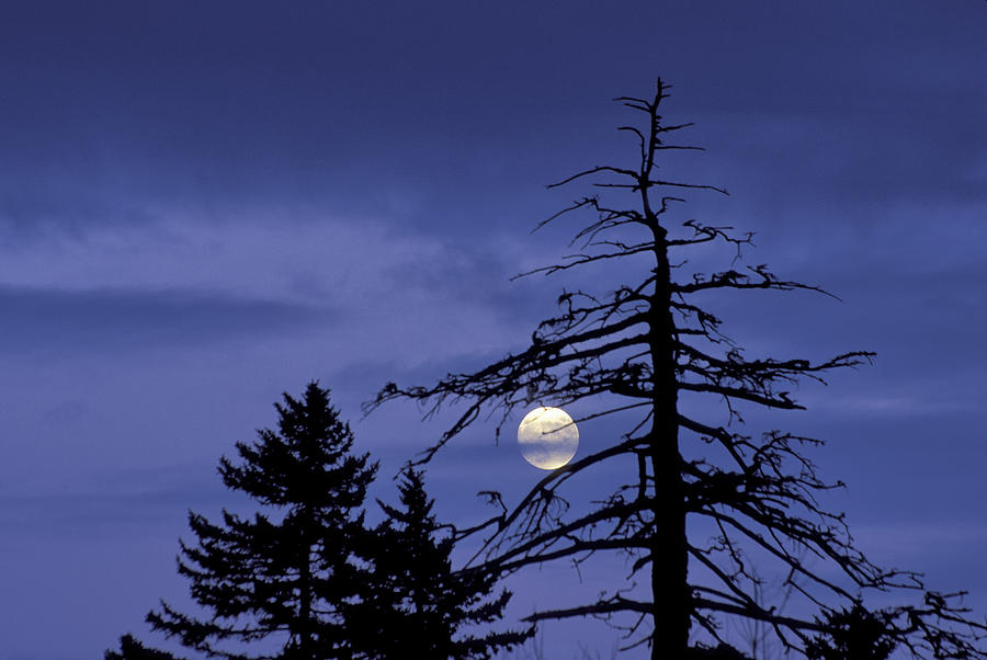 Smoky Moon Photograph by Jim Dollar