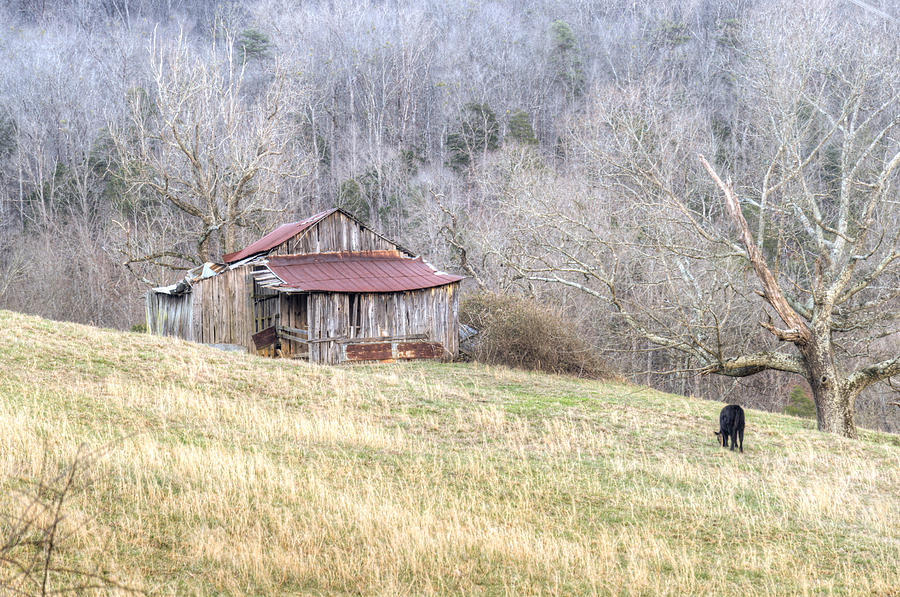 Mountain Photograph - Smoky Mountain Barn 2 by Douglas Barnett