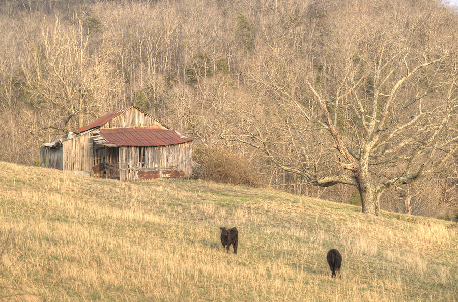 Smoky Mountain Barn 8 Photograph by Douglas Barnett
