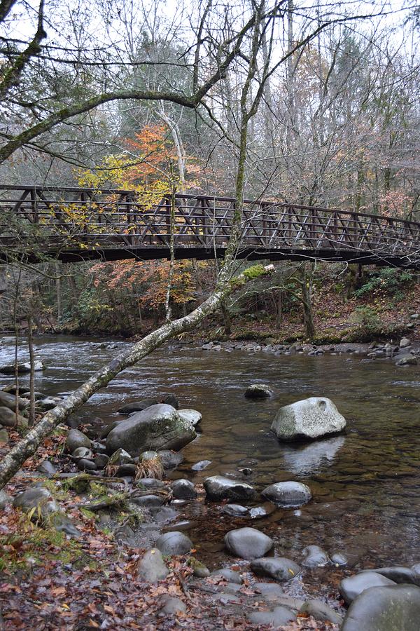 Smoky Mountain Bridge by Curtis Krusie - Smoky Mountain Bridge ...