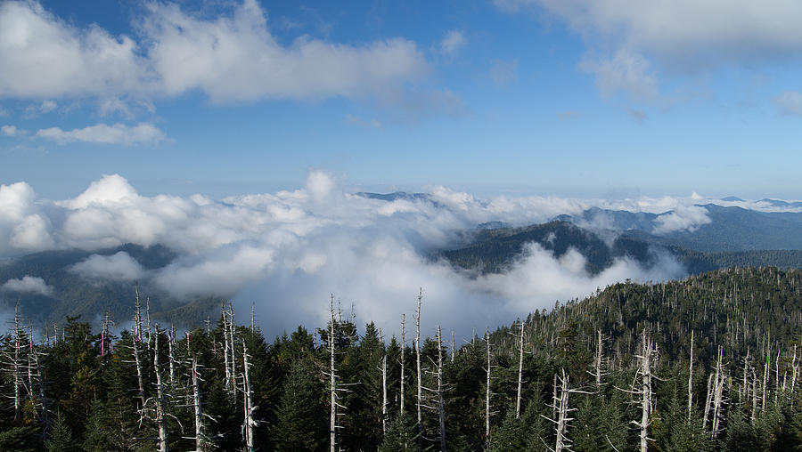 Smoky Mountain Clouds 1 Photograph by Vance Bell