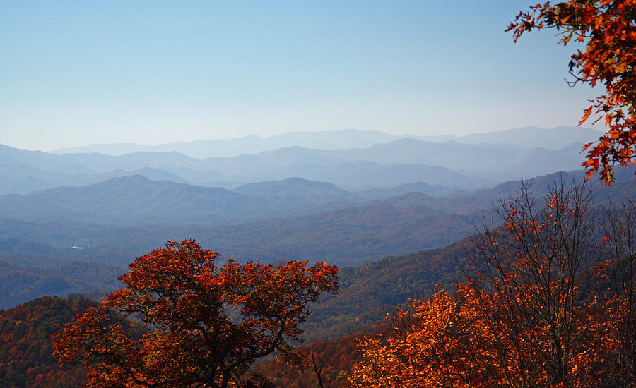 Mountain Photograph - Smoky Mountain Colors by Jean Clark