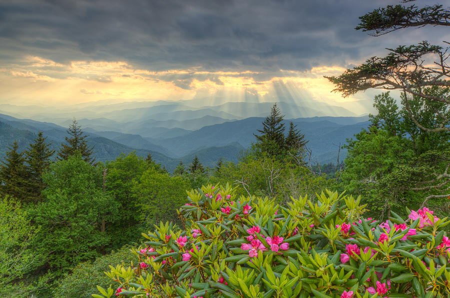 Great Smoky Mountains National Park Photograph by Doug McPherson