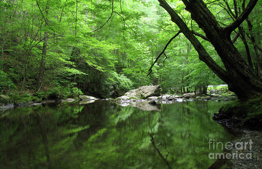 Smoky Mountain Green Photograph by Douglas Stucky