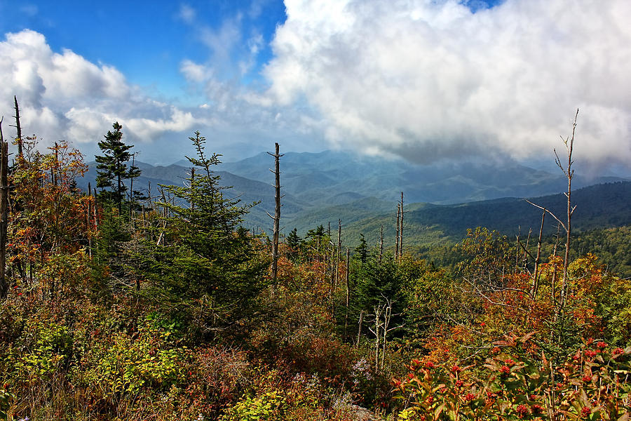 Smoky Mountain Memories Photograph by Lanis Rossi - Fine Art America