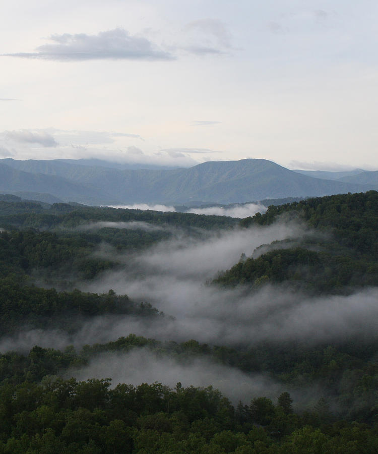 Smoky Mountain Mist Photograph By Dan Mccafferty