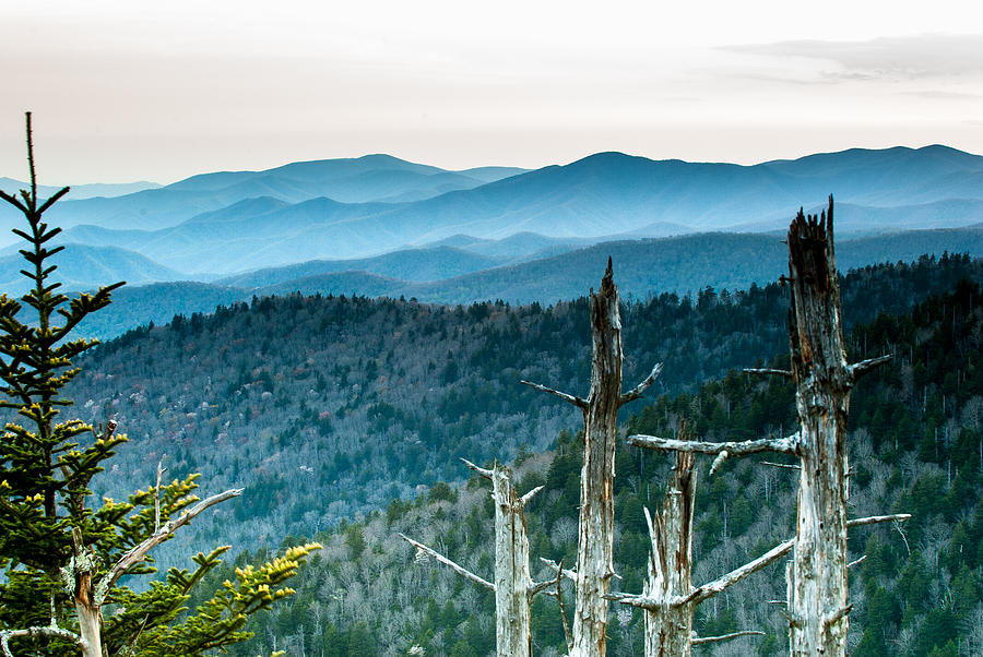 Smoky Mountain Overlook Photograph by Paul Johnson 
