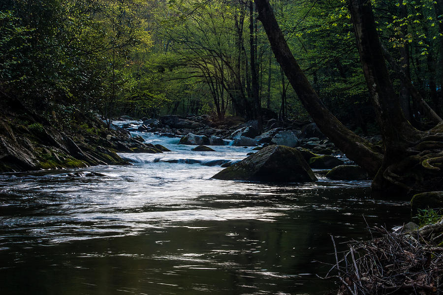 Smoky Mountain Stream Photograph by Jay Stockhaus