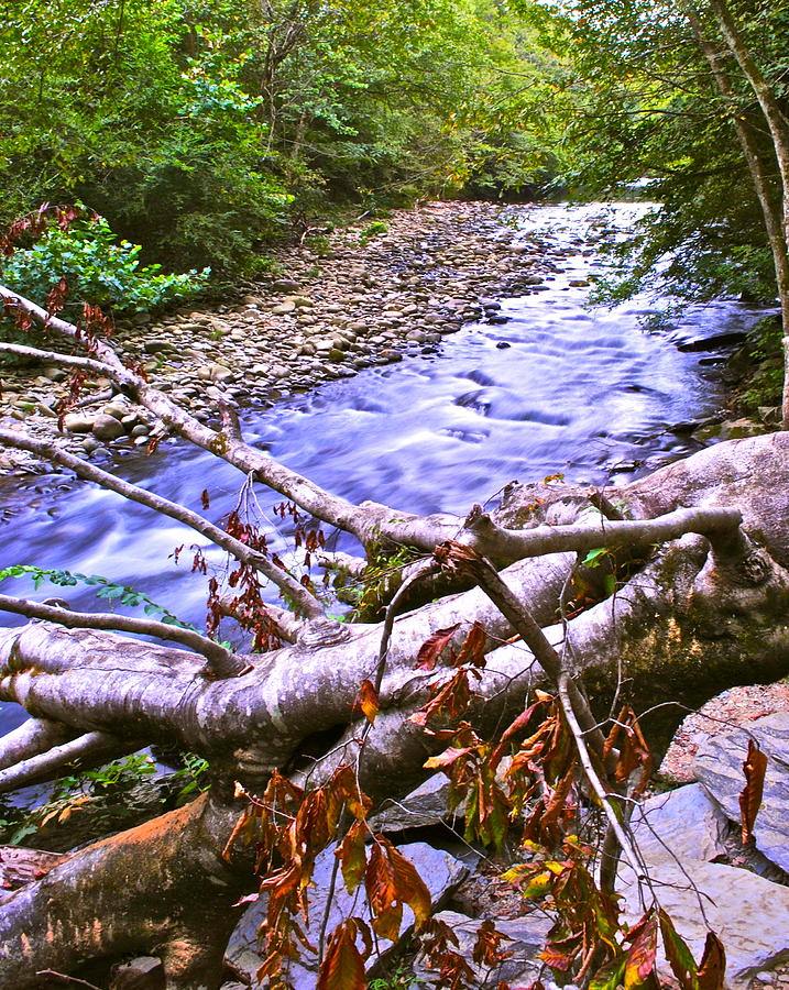 Smoky Mountain Stream Two Photograph by Frozen in Time Fine Art Photography